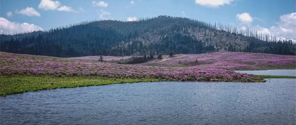 shangri-la china Qianhu Mountain