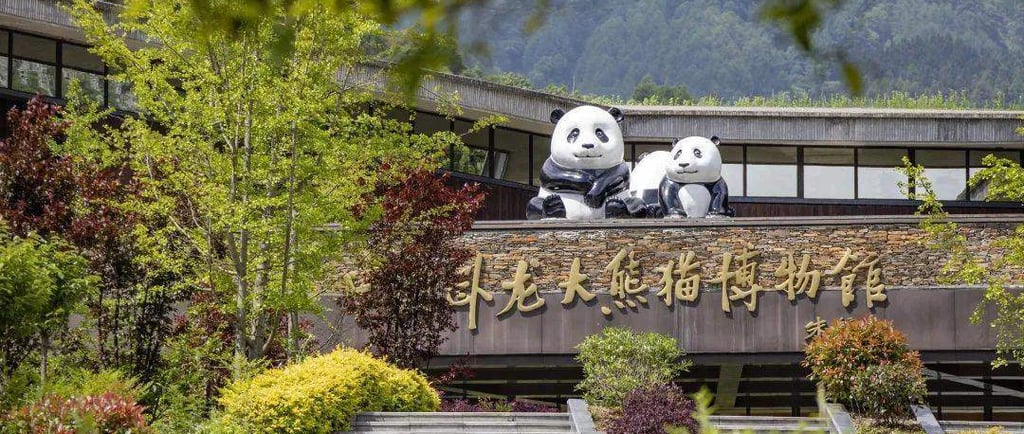 Wolong Panda Tour, Chengdu