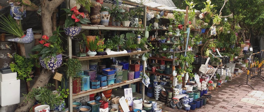 Qingping Market, Guangzhou