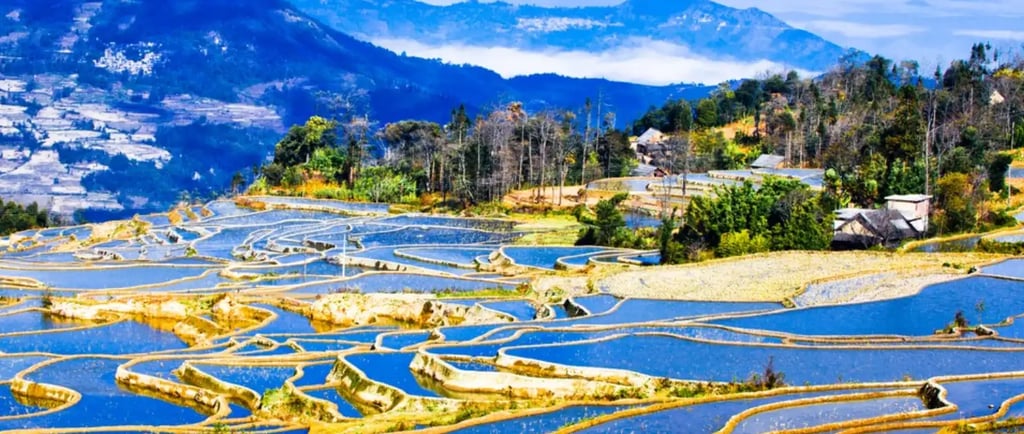 yuanyang rice terraces