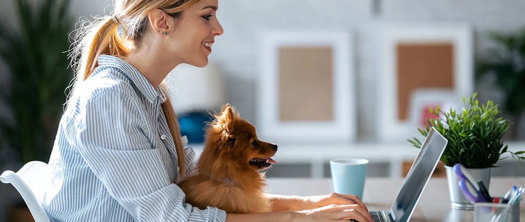 Le recul du télétravail en France