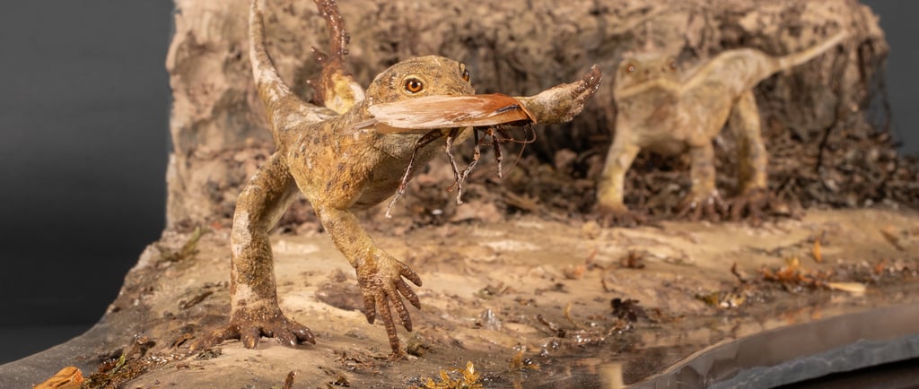 Eudibamis rekostruktion von sebasian brandt