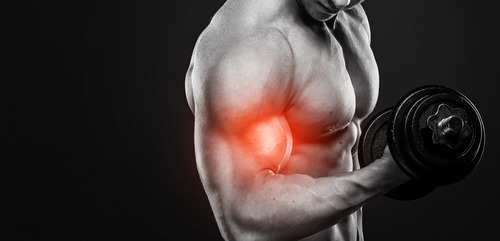 Muscular bodybuilder performing a dumbbell bicep curl with a red highlight on the muscle for fitness training.