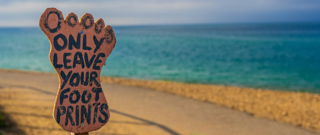 Only Leave Your Footprints