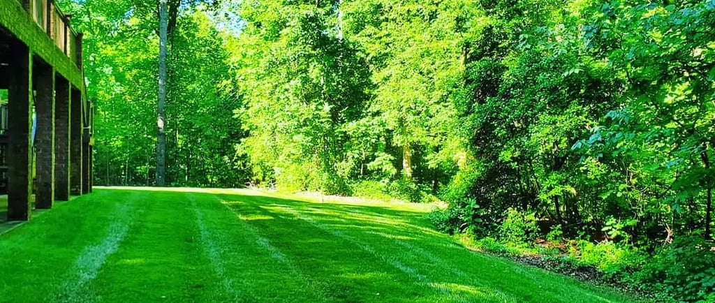 Green Tall Fescue Aerate and Seed