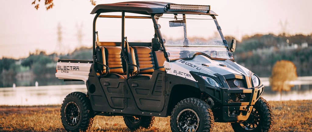 electra utv under a tree in front of a lake