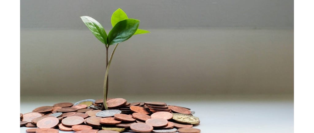 Photo by micheile henderson on Unsplash