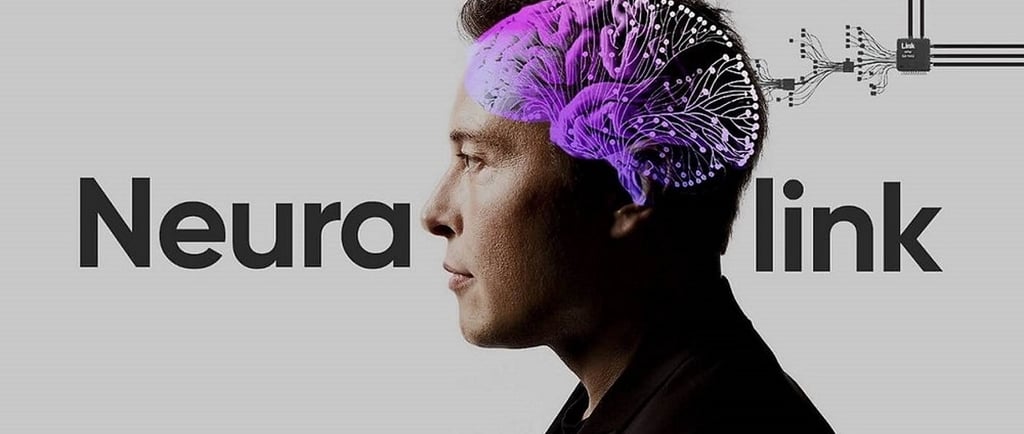 neuralink elon musk bci