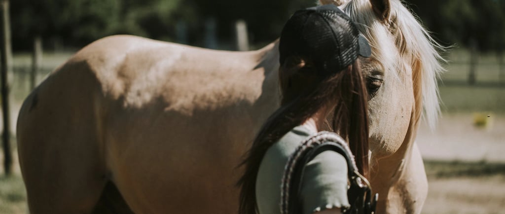 couple cavalier cheval dans un pre