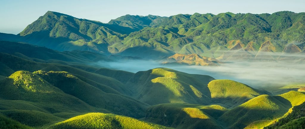 Djukou Valley, Kohima, Nagaland