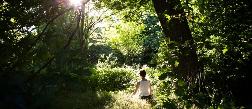 peur changement interieur printemps foret soleil lumineux