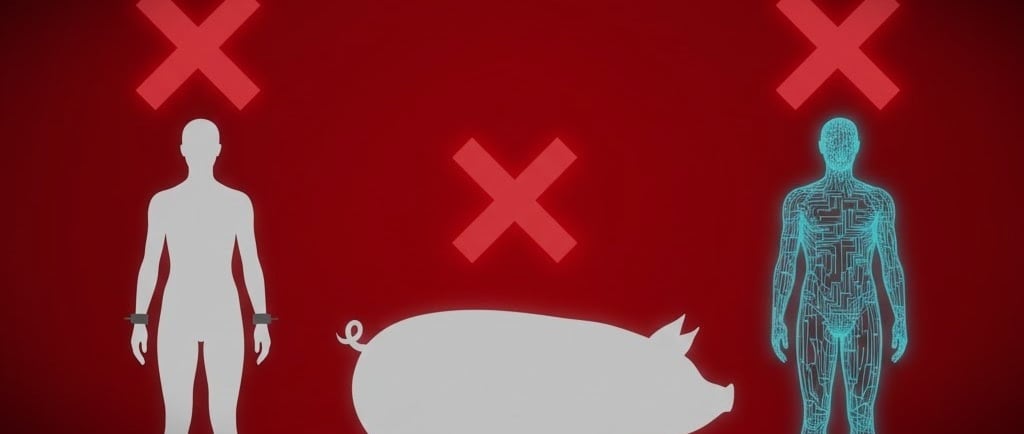 precautionary principle, ai rights, ai ethics