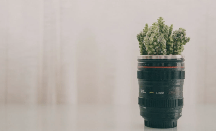 Cacto plantado dentro de caneca em formato de lente de câmera.