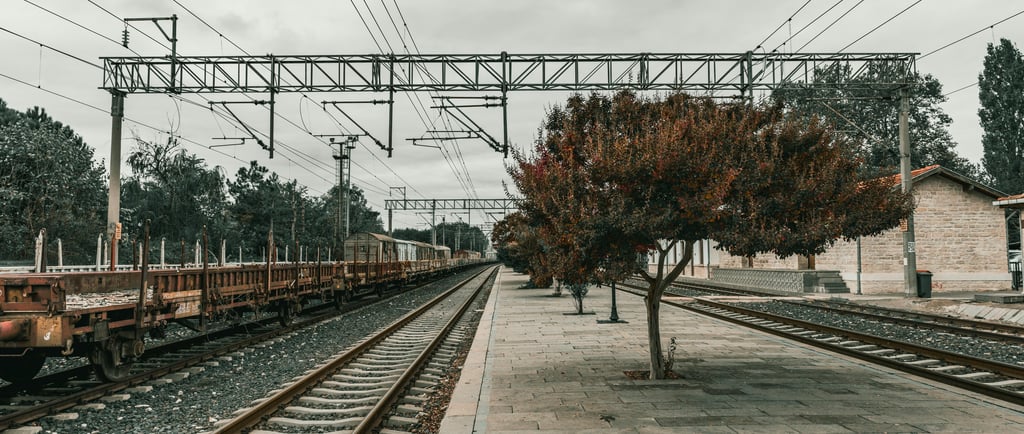 Empty railway platform with freight wagons, overhead lines, and a lone tree on an overcast day—calm, slow-travel vibe
