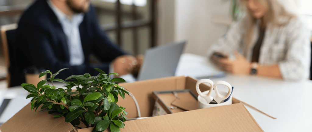 optimiser la valeur de son entreprise de sap pour mieux la vendre