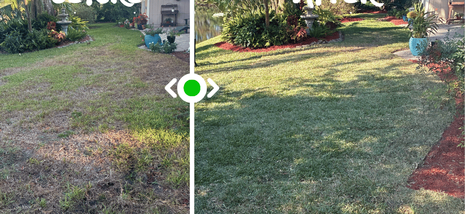 Sod installation Jacksonville FL
