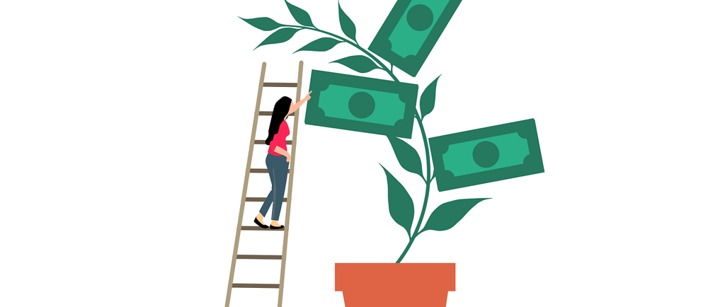 a woman climbing up a ladder to reach a money tree