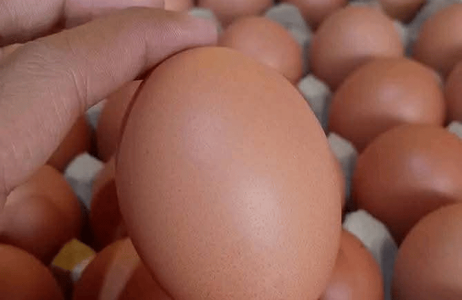 Eggs have been a staple in human diets for centuries, admired for their unbeatable nutrition and cul