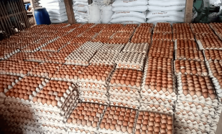 global egg market, global egg supply, eggs supplier, global egg supply chain, global producer eggs
