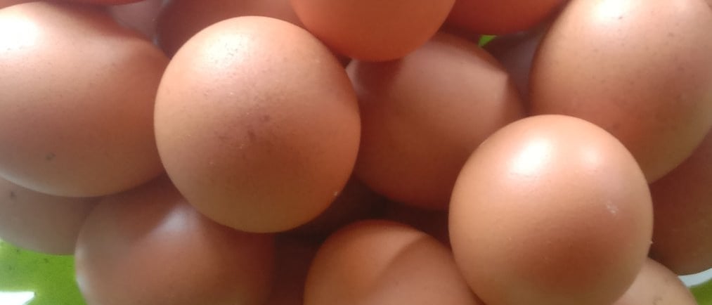 a shell egg takes for your kitchen. As a leading supplier of high-quality eggs from Indonesia