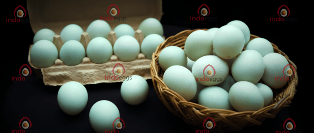 Pasteurize eggs, pasteurized eggs, pasteurize egg, duck eggs