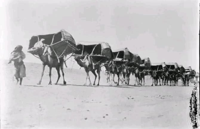 Ancienne caravane du hadj