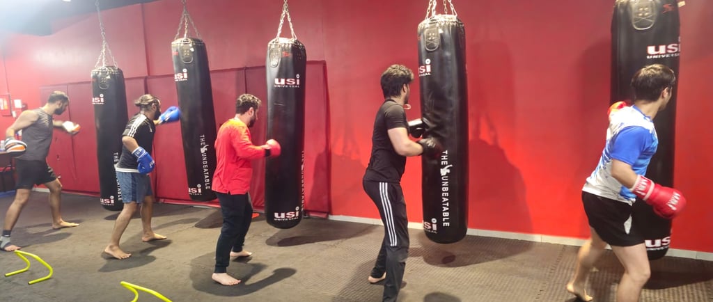 Best mma classes in Delhi