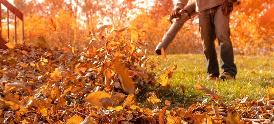 a man is using a leaf blower to clean the leaves 
