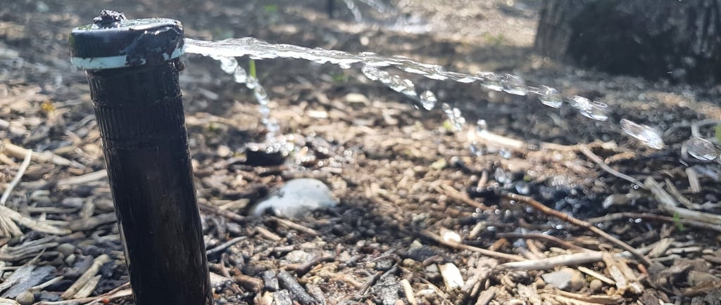 a sprinkled sprinkles in the ground