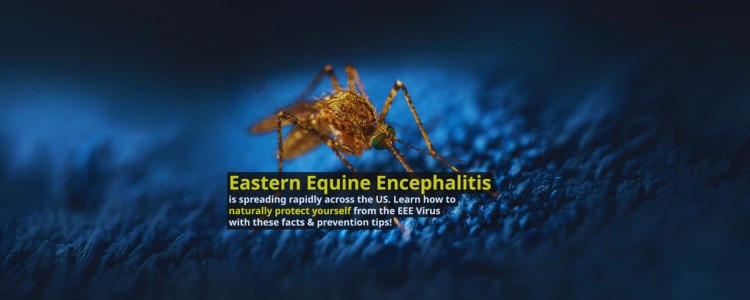 eastern equine encephalitis eee virus