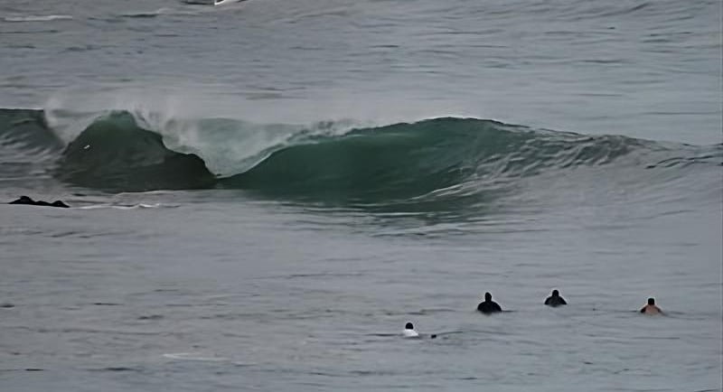 group of surfers in the water staring at a perfect left