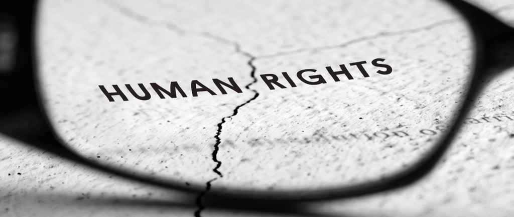 Demanda ante el Tribunal Europeo de Derechos Humanos