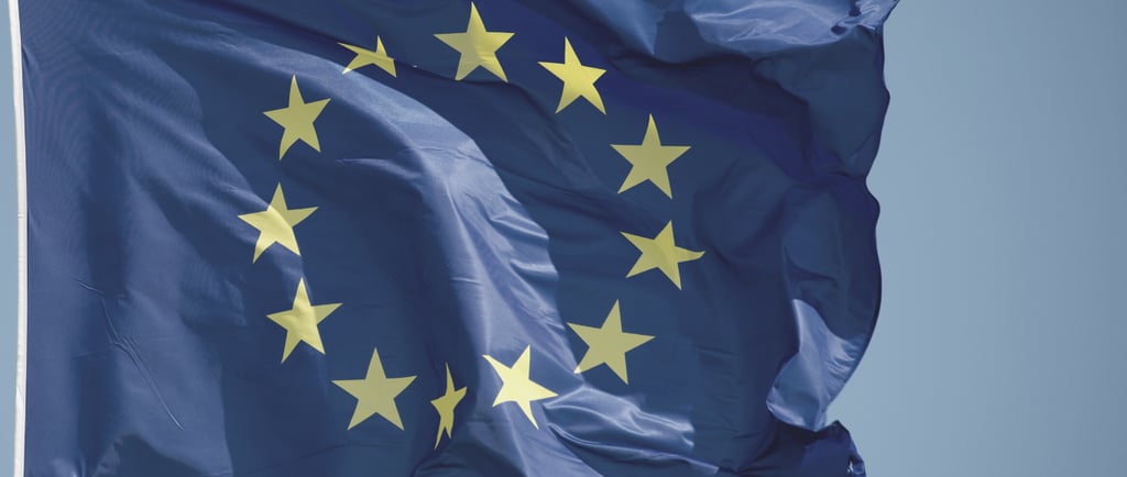 artículo 6 del Convenio Europeo de Derechos Humanos (CEDH)