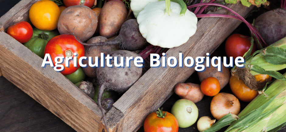 agriculture biologique