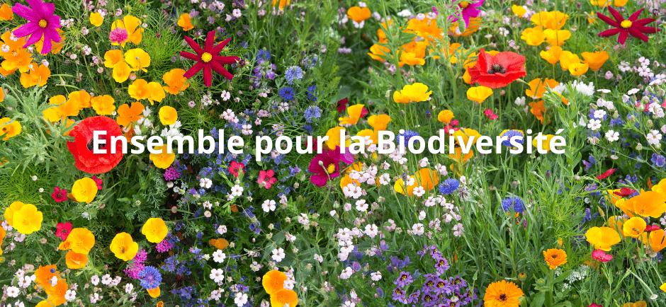 Ensemble pour la Biodiversité