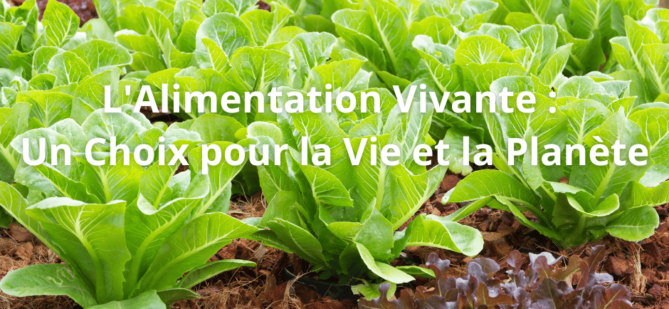 alimentation vivante