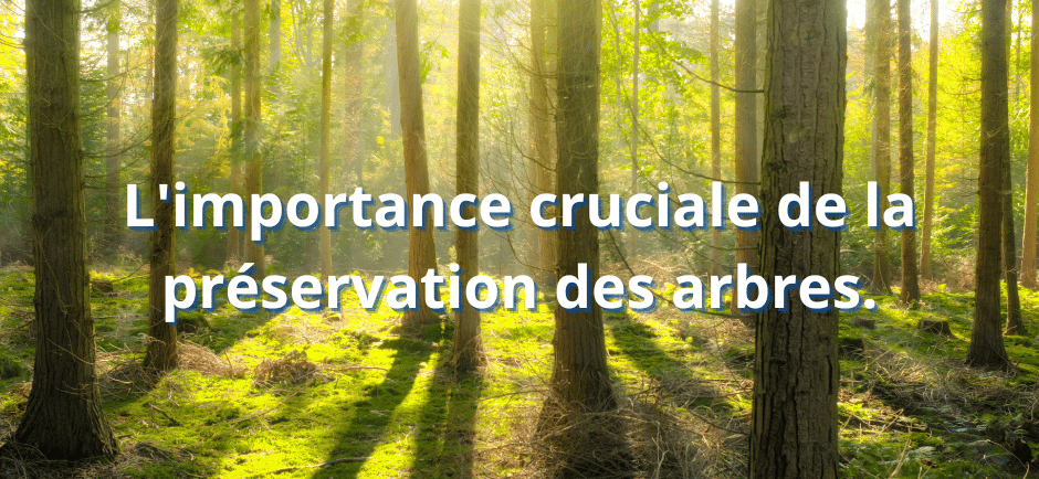 l'importance cruciale de la préservation des arbres.