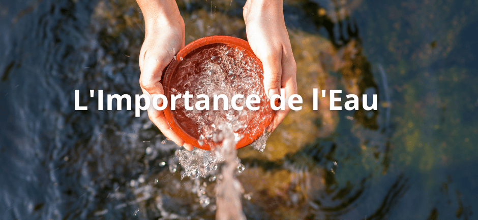 L'Importance de l'Eau