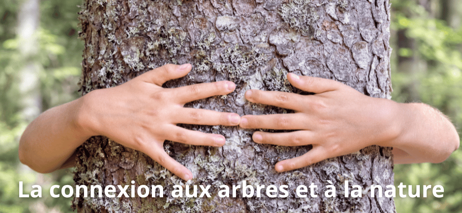 connexion aux arbres et à la nature