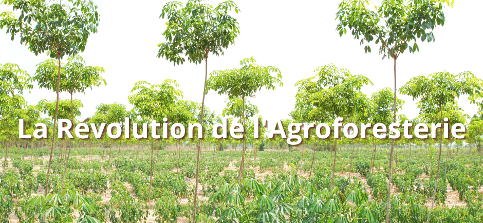 La Révolution de l'Agroforesterie