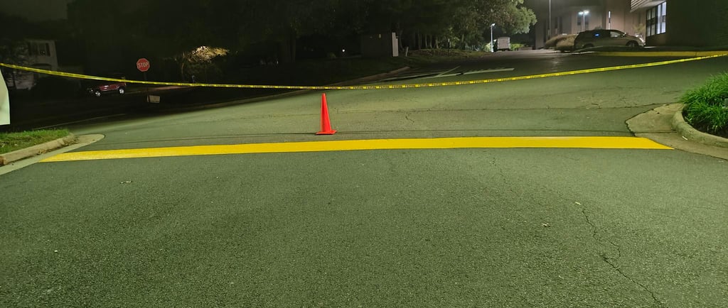 striping speed bumps