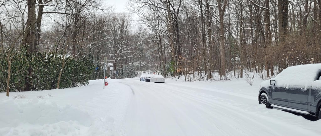 Snow and ice damage to bollards and striping