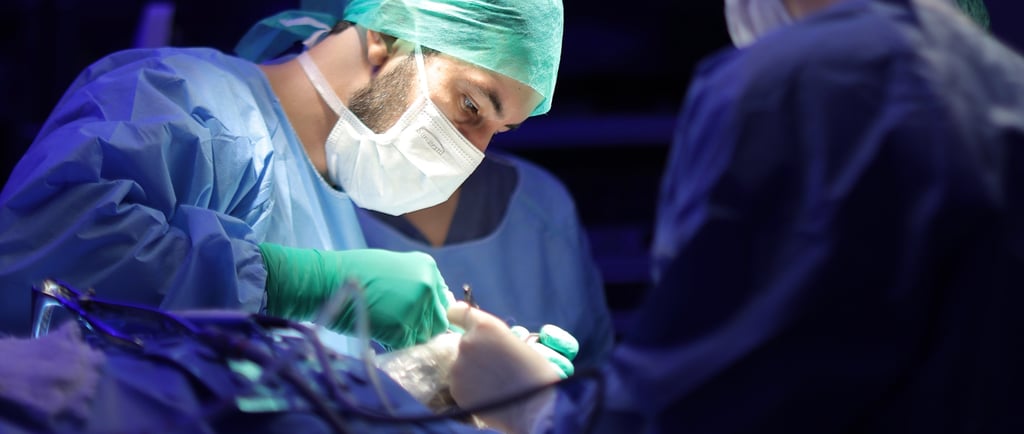 Rinoplastia ultrassônica com Piezo no Rio de Janeiro – cirurgia nasal precisa, com menos trauma.