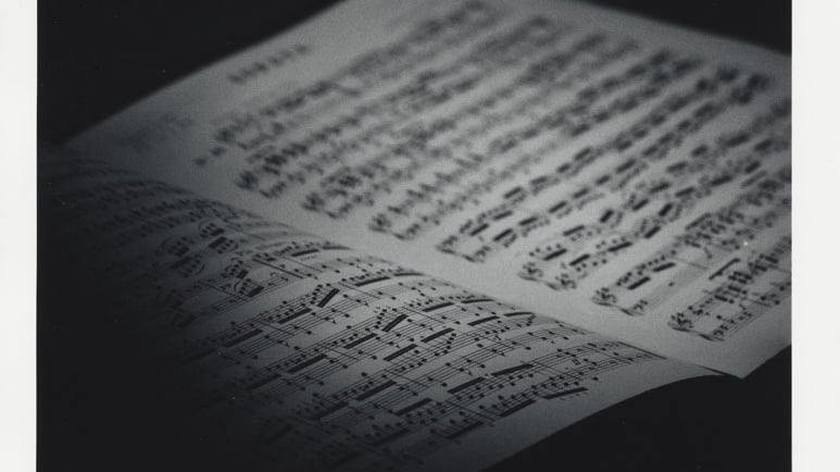 Picture of Beethoven's sonatas. Creator: Slawek Dejneka