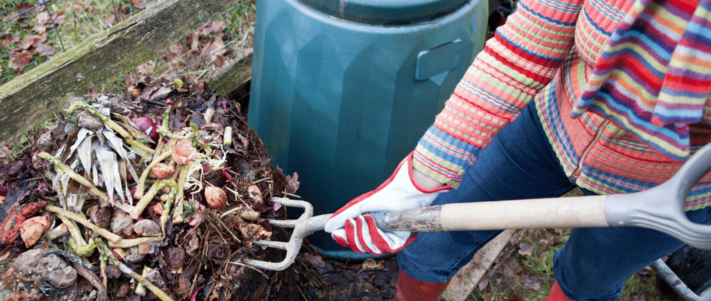 Turning the compost pile