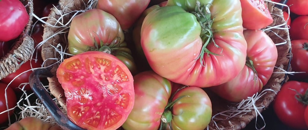a basket of tomatoes and tomatoes on display in a basket