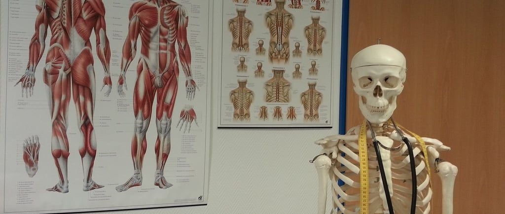 Stanza del osteopata con scheletro e poster di anatomia