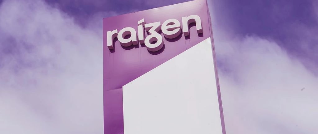 RAIZ4, análise de investimentos em ações