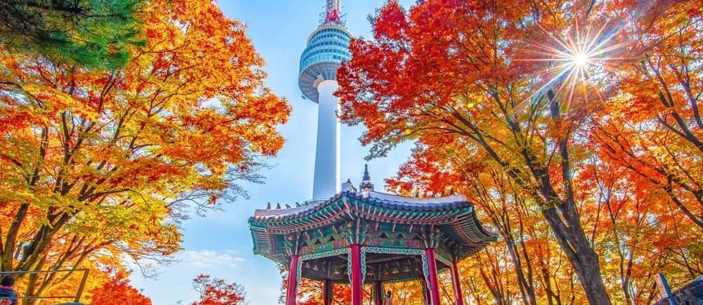 Paket Tour Korea, Hanbok, Namsan Tower, Nami Island, Tour Korea Batam, Itaewon, Gangnam, Seorak San,