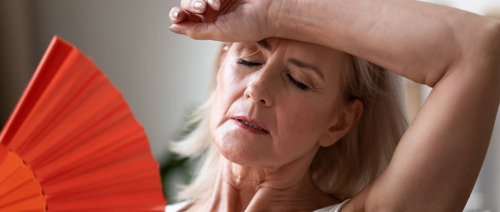 como cuidar da menopausa com o ayurveda
